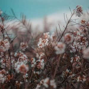 Meet your Posher, Eden